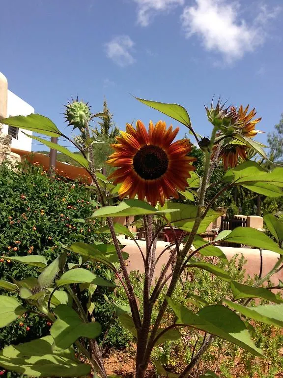 Agroturismo Xarc Santa Eulària des Riu 0*,